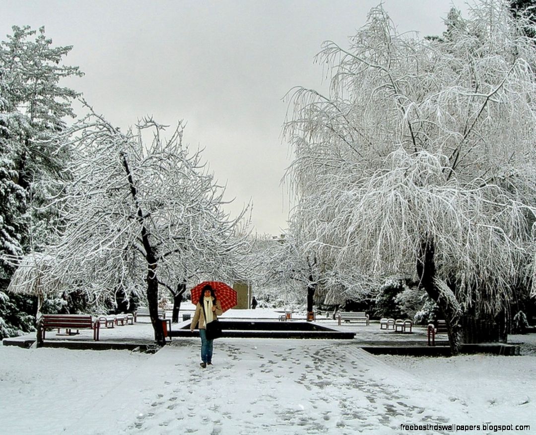Winter Winter Park Peaceful Wonderful Time Magnificent Frosty Winter Winter Park Peaceful Wonderful Time Magnificent Frosty