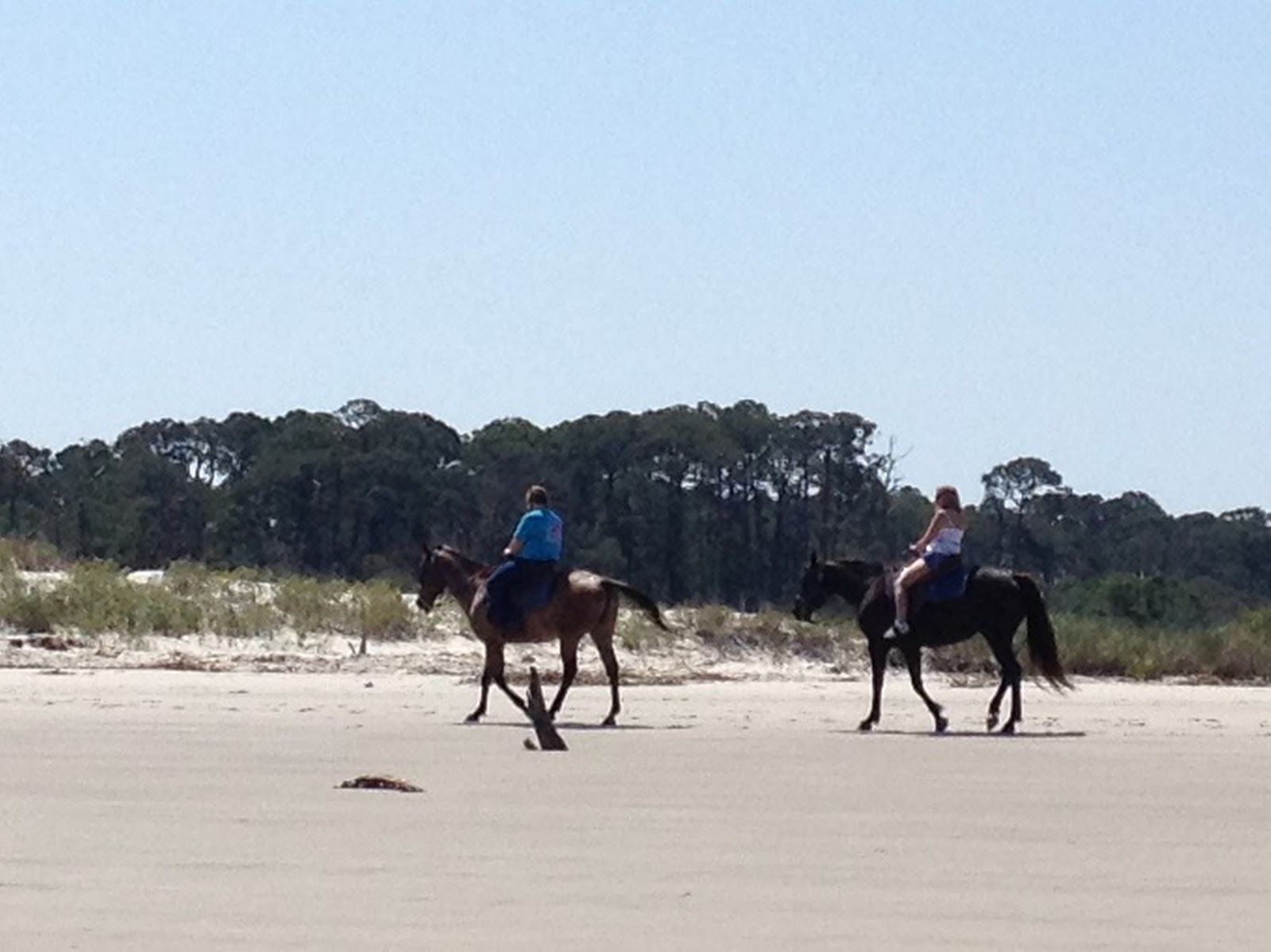 Life on the Coast as a Realtor Jekyll Island Horseback Riding