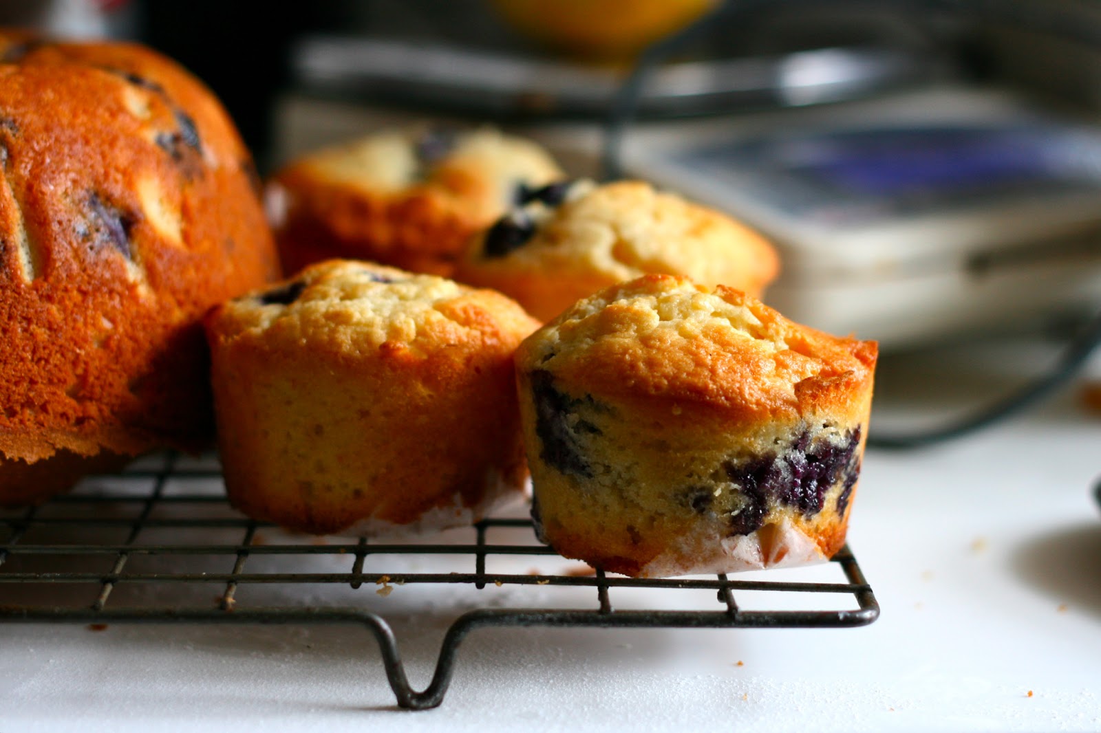 Milli's kitchen Soured Cream and Blueberry cake Hummingbird Bakery