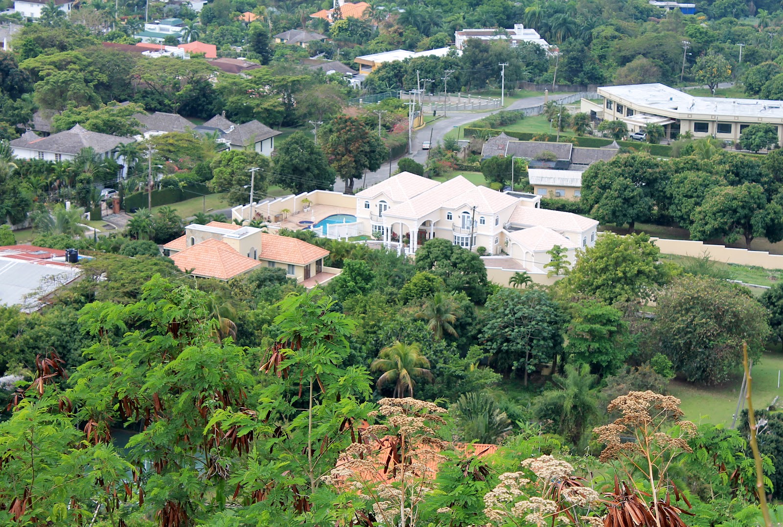 Wendy In Jamaica Jacks Hill