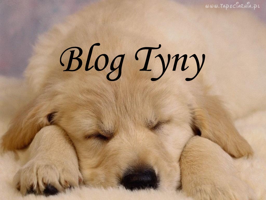Blog Tyny