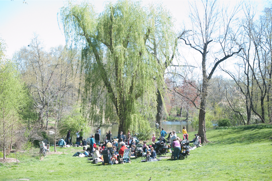 {kensington blue} mostly photography and a little bit of everything