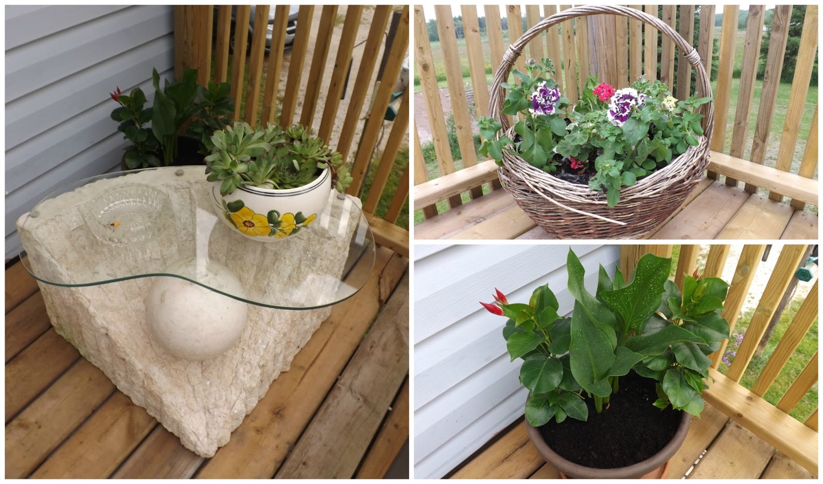 "Just North of Wiarton & South of the Checkerboard" June 2013