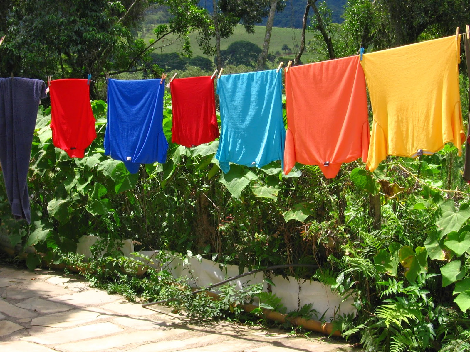 Reduce Footprints 17 Tips For Spring