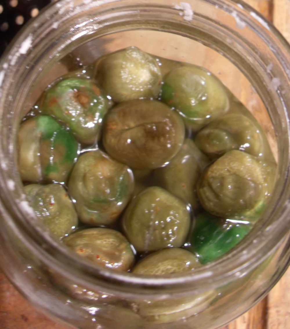 Rag Picker ExtraOrdinaire Green Plums For Umeboshi Nontraditional