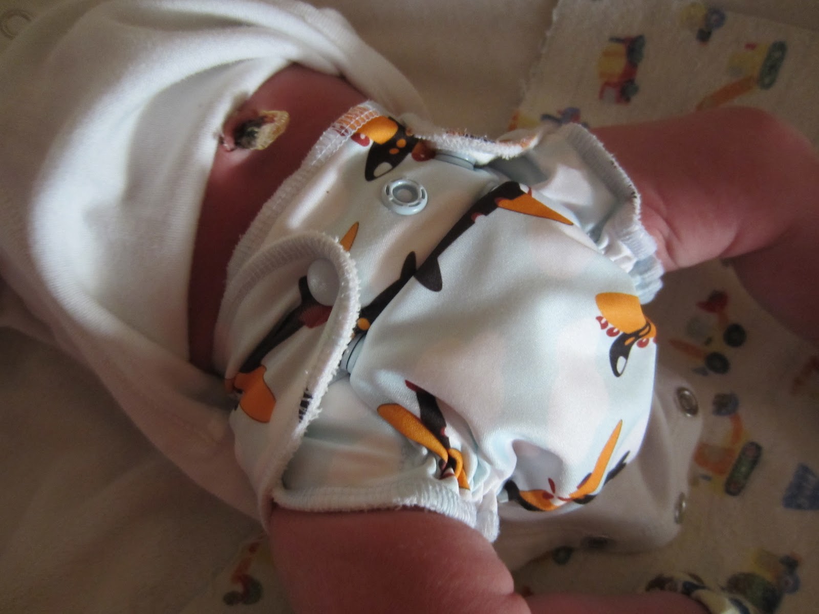 Cloth Diaper Addiction Newborn Series Grovia NB AIO