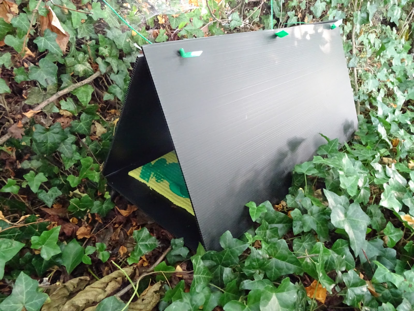 Hedgehog Footprint Traps