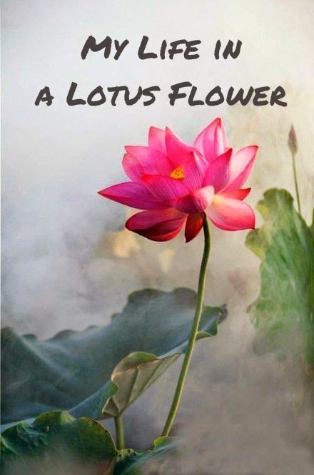 My life in a lotus flower, lotus tattoo, lotus flower, my tattoos,
