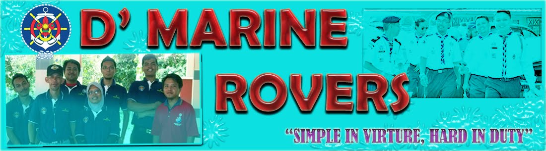 D' Marine Rovers