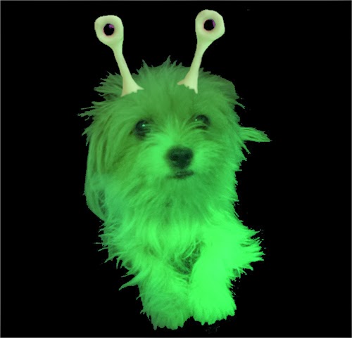 Discopop Directory Britney Spears Is Like An Alien