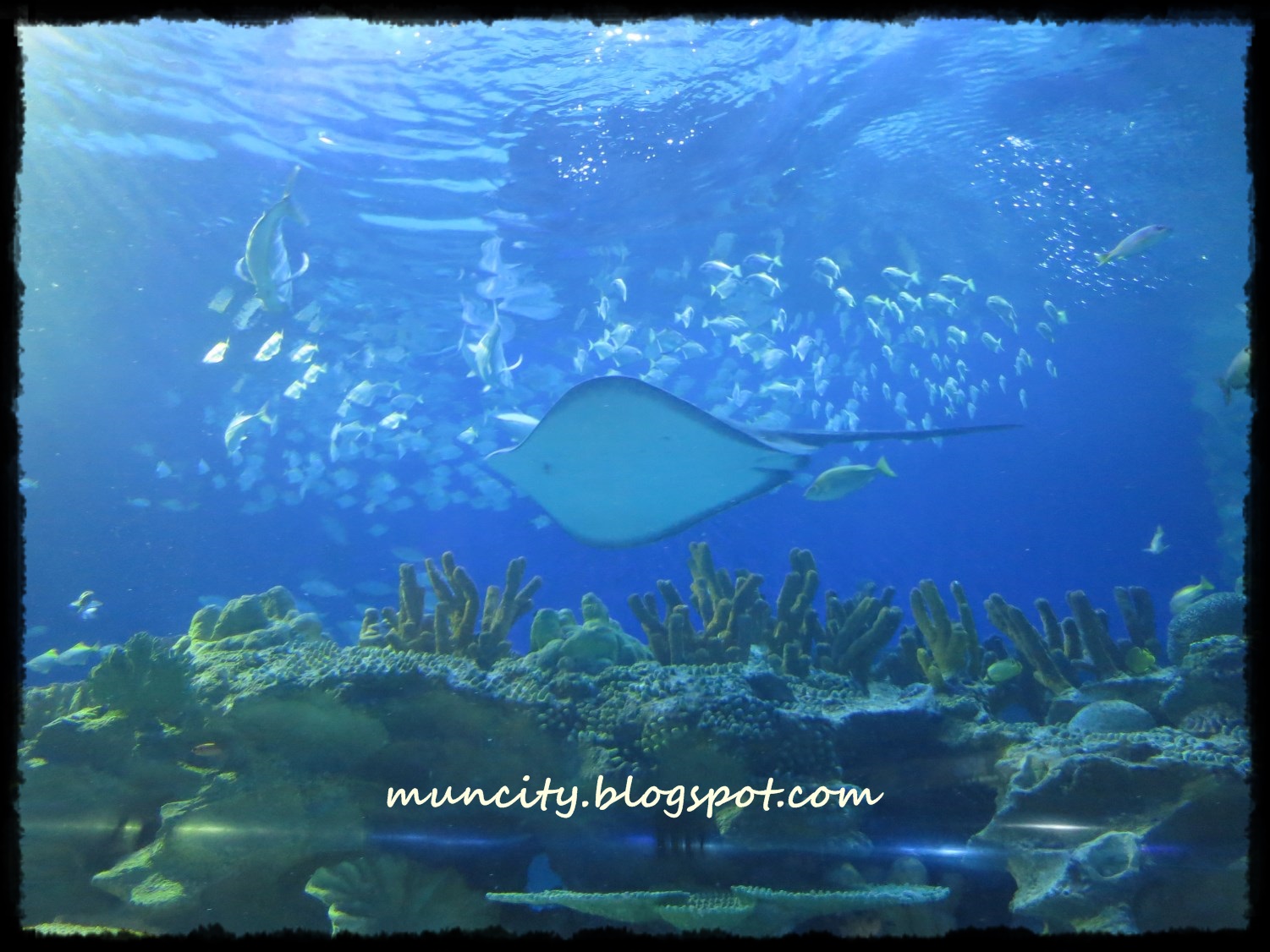 Lalalaland... Aquaria KLCC