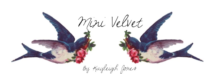 Mini Velvet