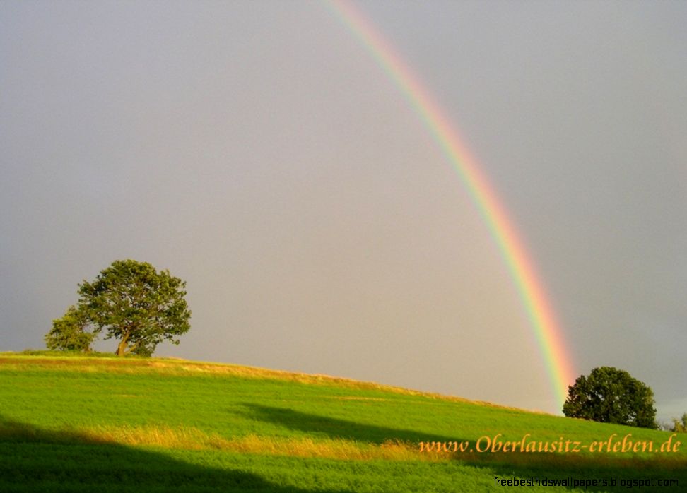 13 Wallpaper 13 Wallpaper