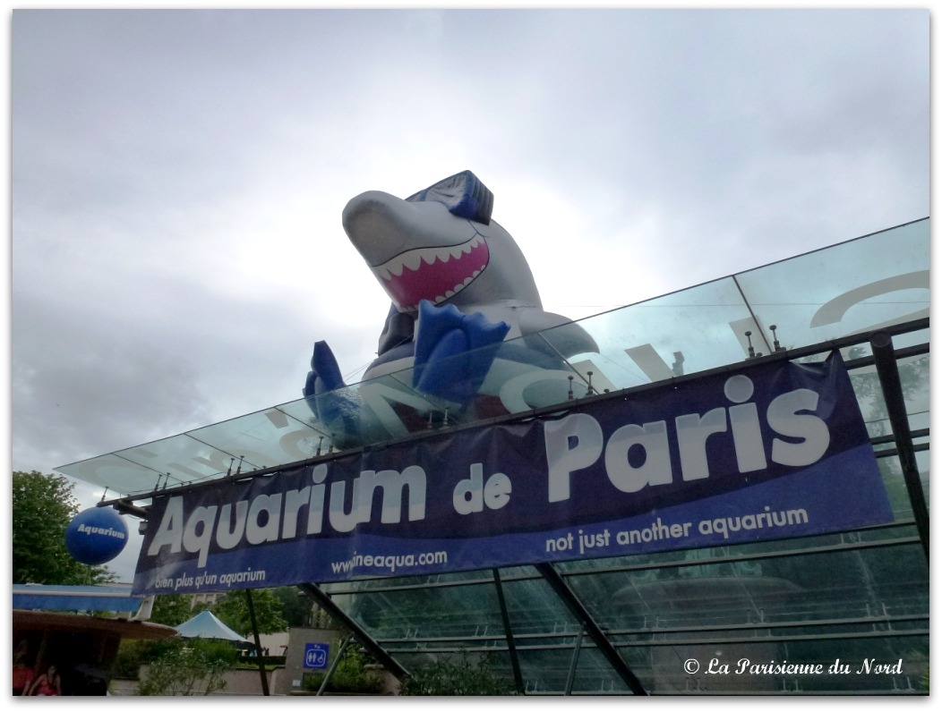 L’Aquarium de Paris en nocturne… La Parisienne du Nord