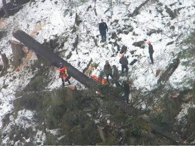 JUNEAU, Alaska - A Coast Guard Air Station Sitka MH-60 Jayhawk helicopter crew medevaced an injured logger from Prince of Wales Island after a tree reportedly fell on him Tuesday at 2:52 p.m.