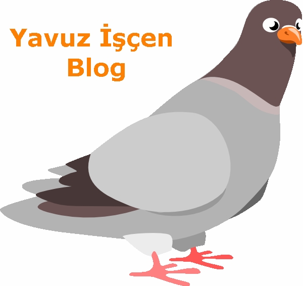 guvercin yetistiriciligi