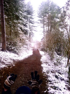 Geocaching at Hartshill Hayes Country Park