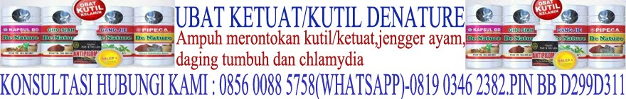 Ubat ketuat mujarab