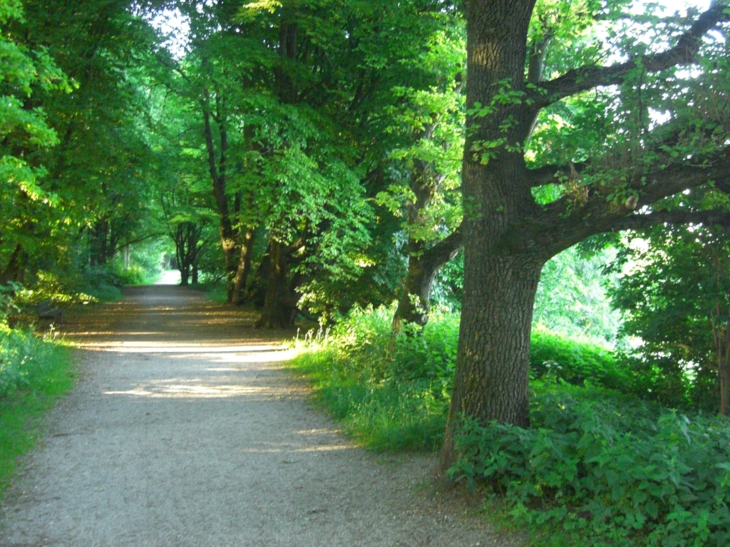 Dgm 085 Helioda1 S Weblog