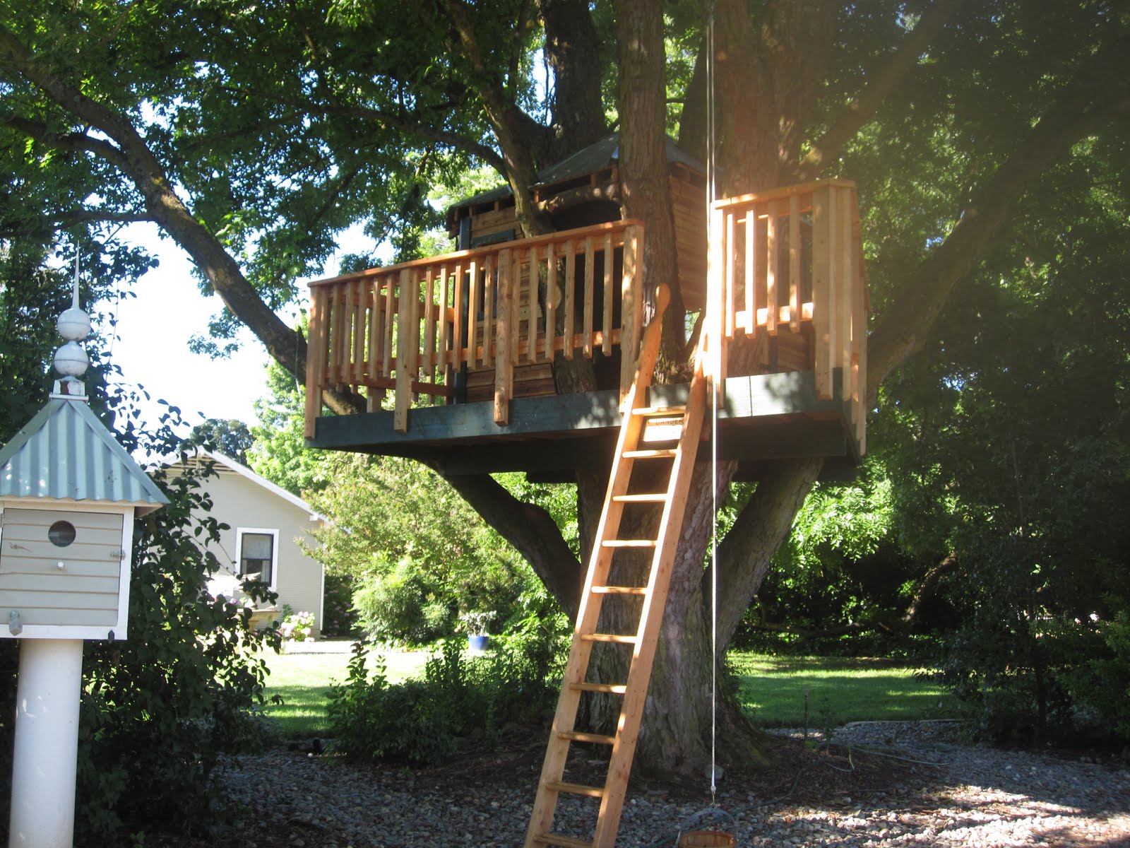 Windmill Farm New Treehouse Made By Grandpa Frank