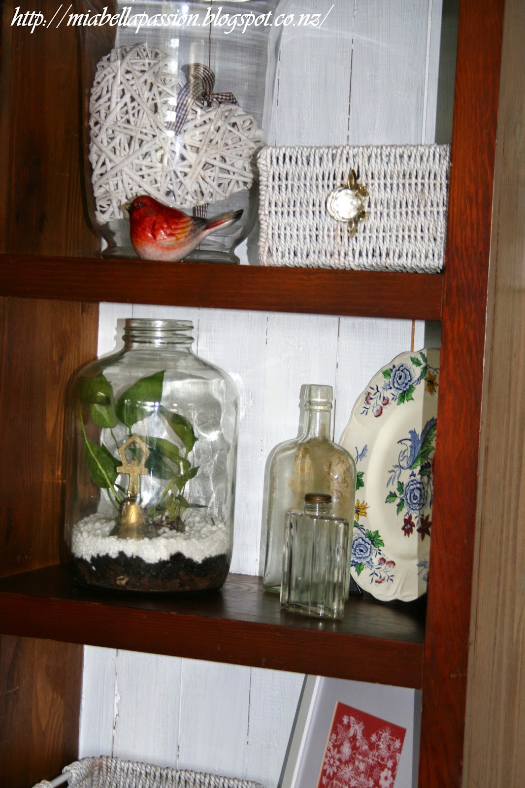 Mia Bella Passions DIY Bottle terrarium...