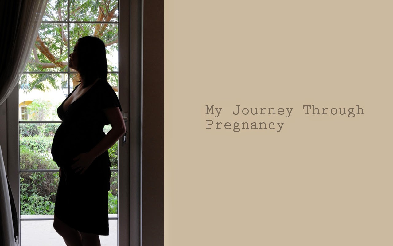 Pregnancy Journey Travel Gourmande