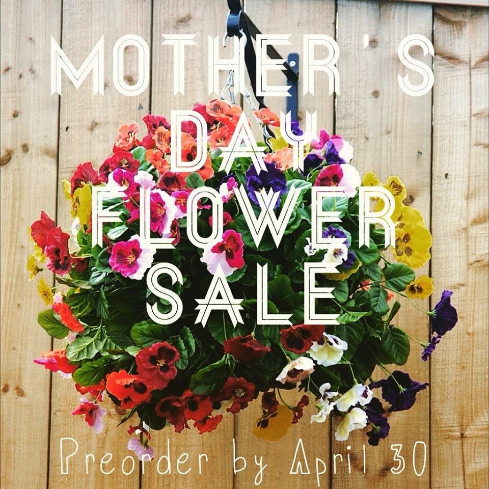 mother's day flower sale