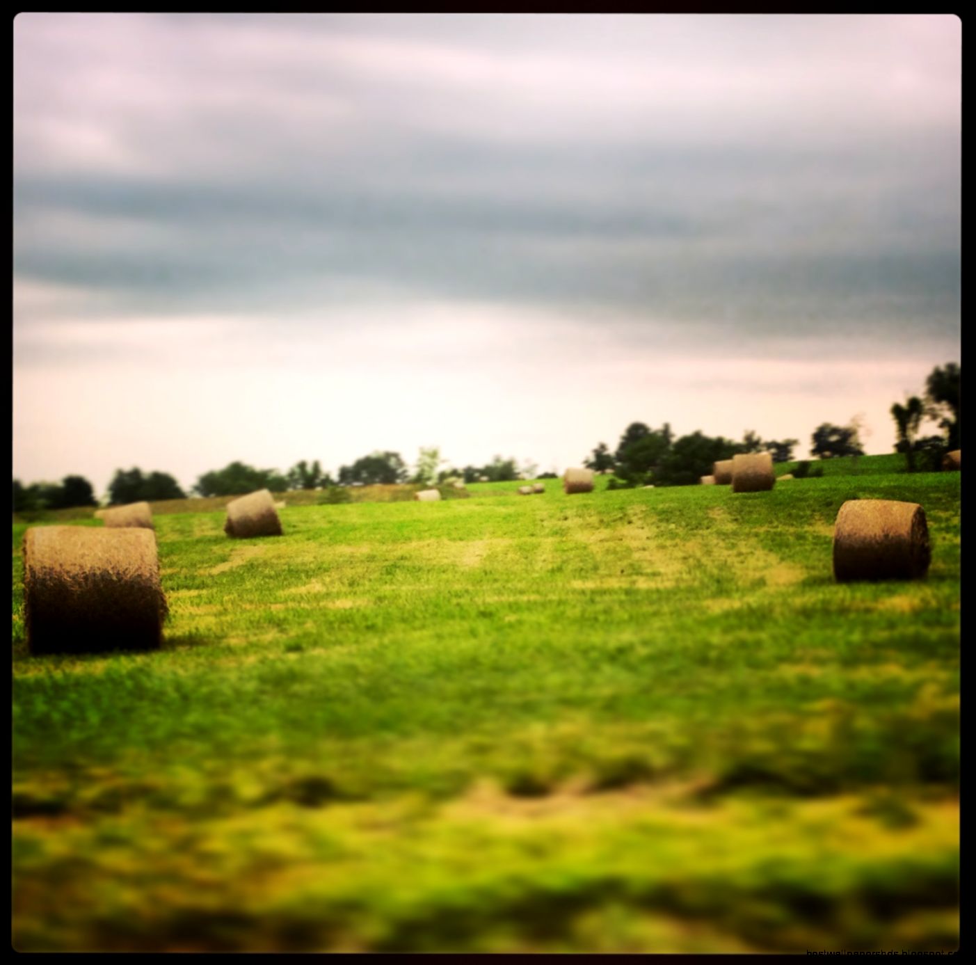 Hay fields Beautiful places Pinterest Hay fields Beautiful places Pinterest