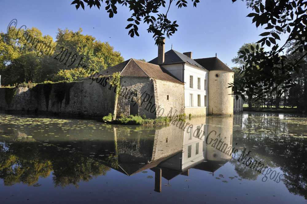 Chateau de Diant