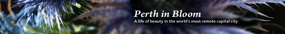 Perth in Bloom