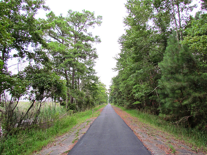 North Carolina Hikes Alligator River National Wildlife Refuge (Creef