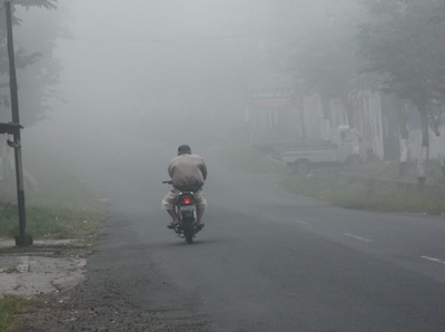 Portal Manyaran Info Jalur Alternatif Temanggung Pemudik Waspadai Kabut Dan Pohon Patah