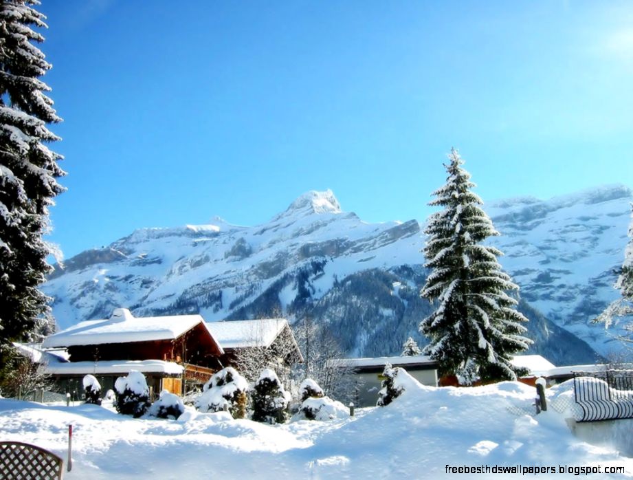 Bing Images 80imagessearchqIce Bing Images 80imagessearchqIce