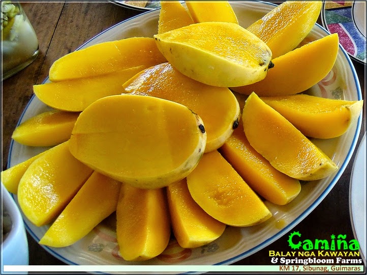 FLAVOURS OF ILOILO Manggahan Festival 2015 EatAllYouCan Mangoes