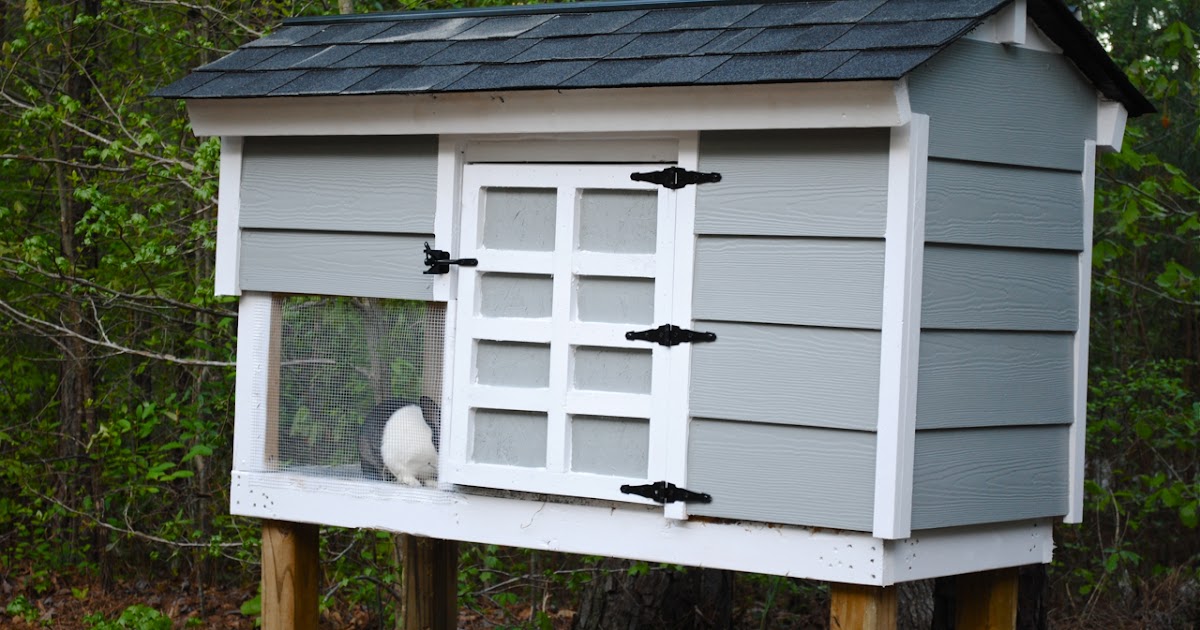 New Every Morning Bunny Hutch 'n Such