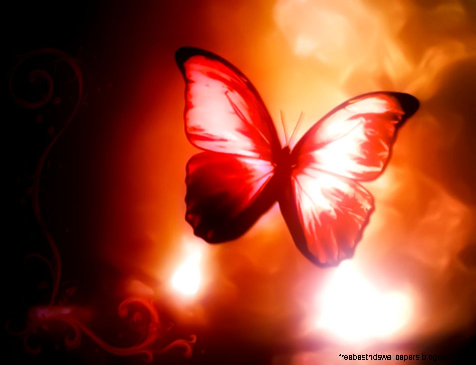 8589130509570 red butterfly wallpaper hd 8589130509570 red butterfly wallpaper hd