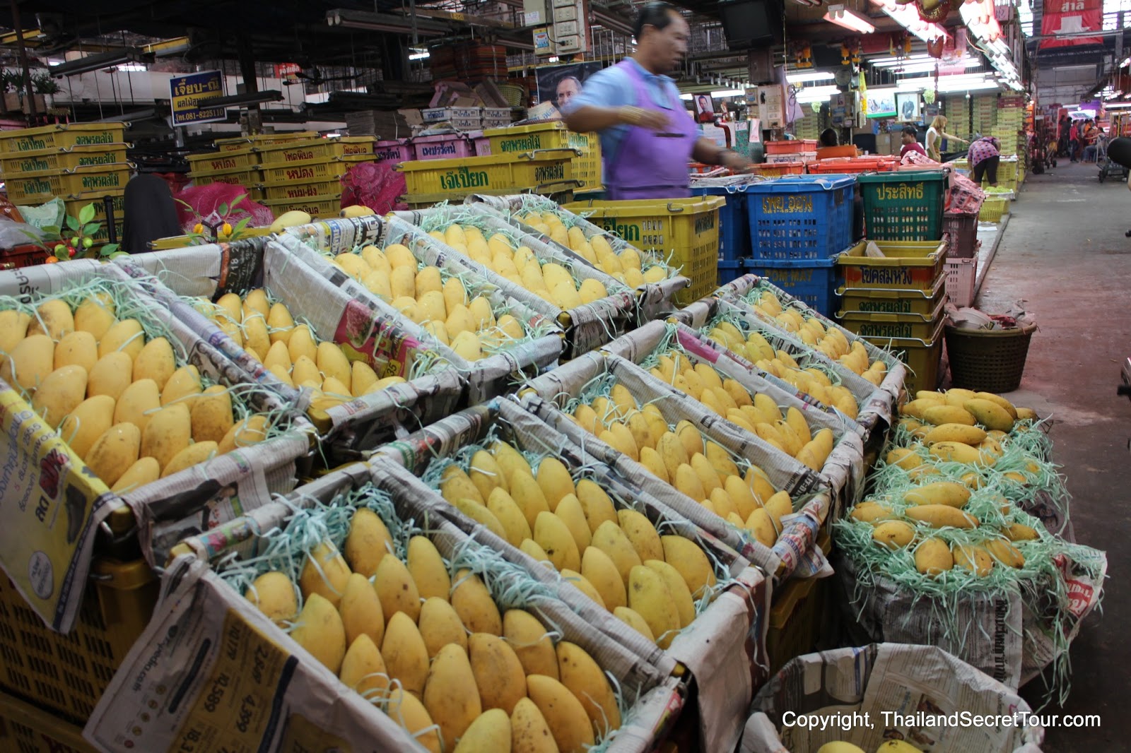 Thailand Secret Tour Diary TALAT THAI The biggest wholesale foods market in Thailand and in