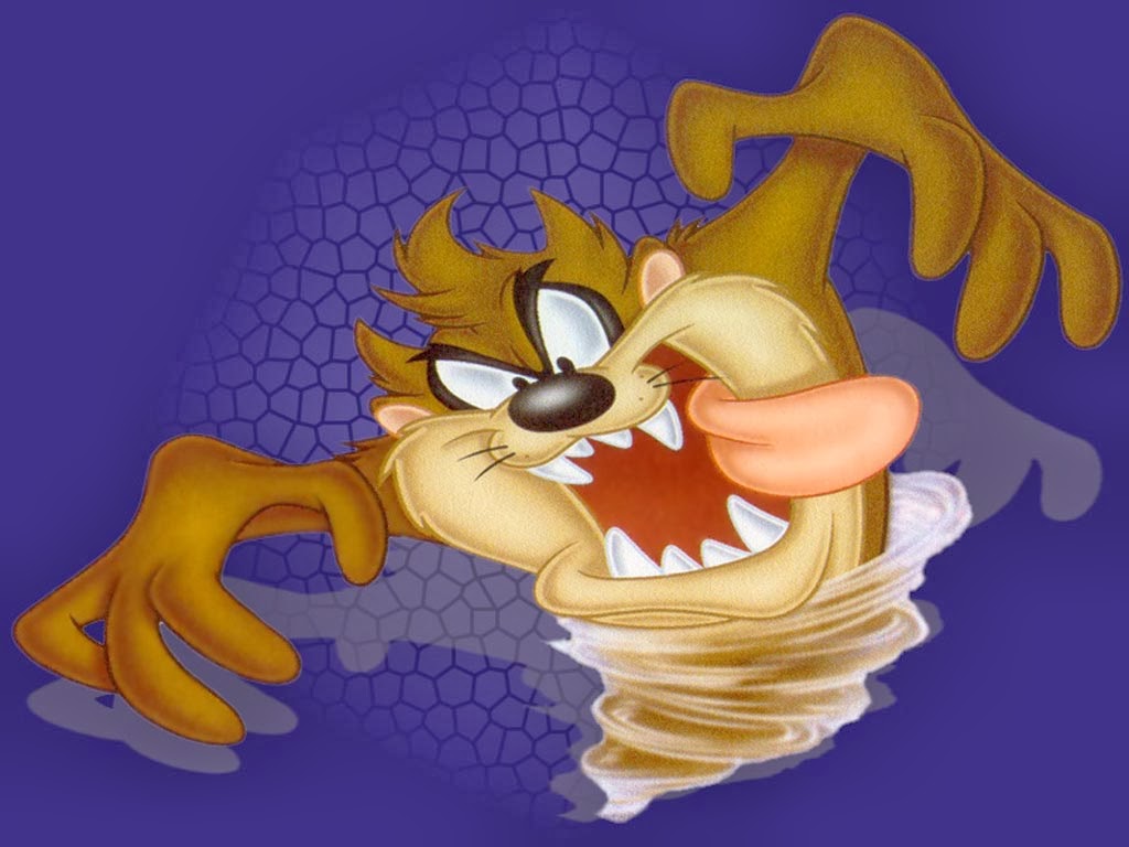 Wallpaper Tazmania HD Wallpaper Tazmania HD