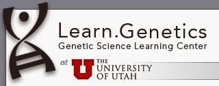 Learn Genetics