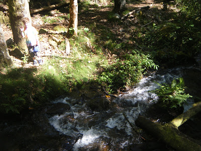 Boquete Chiriqui Highlands