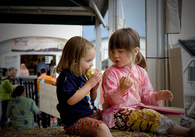 Asheville Travel Blog Hominy Valley RV Park