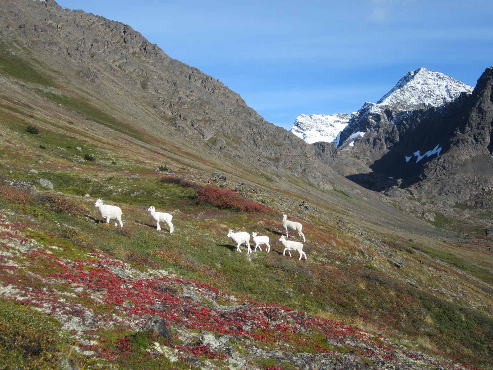 Skier Boyz Late October Update Alaska