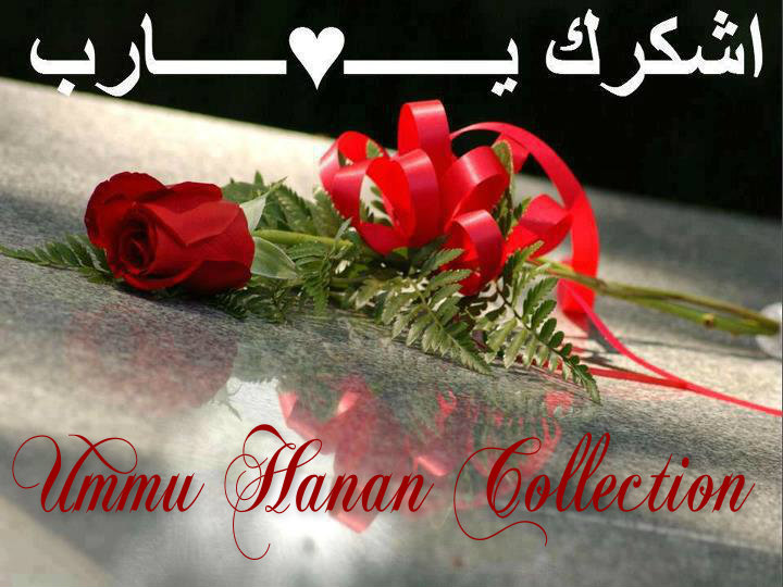              Ummu Hanan Collection