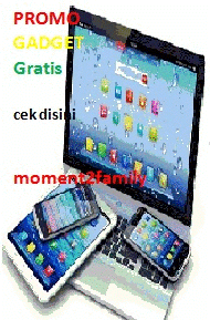 Promo Gadget