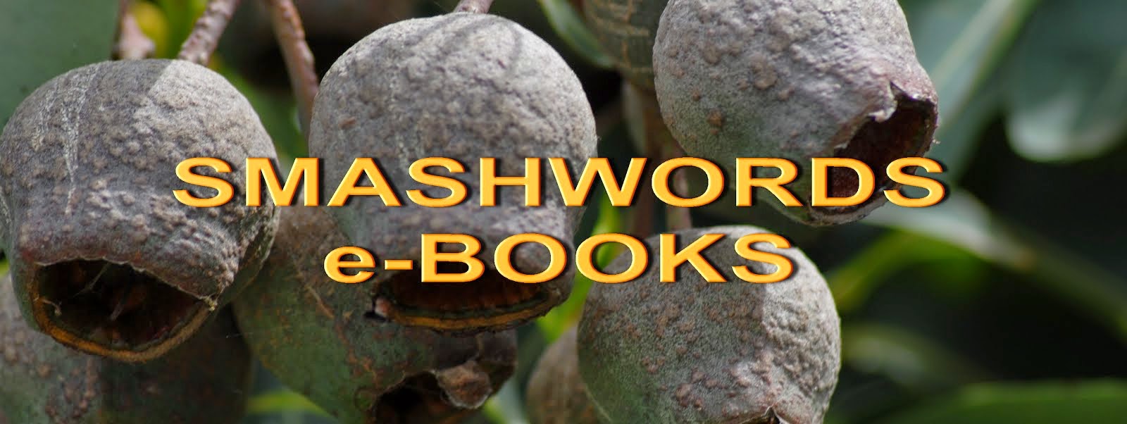 SMASHWORDS e-BOOKS