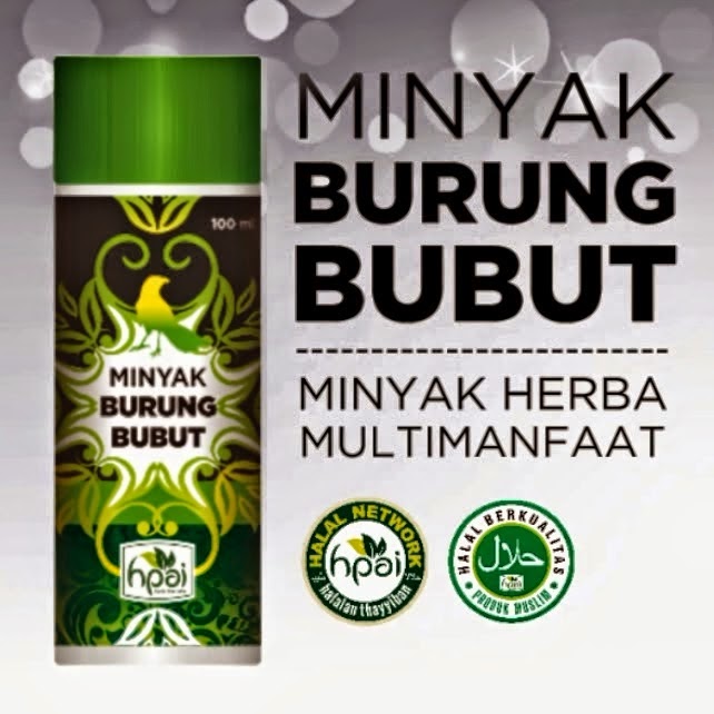 Jual Minyak Urut Burung Bubut Kalimantan Kota Banjarbaru Galuh