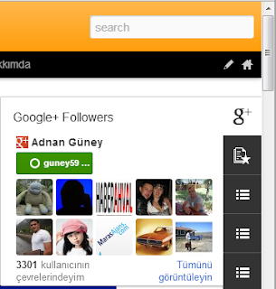Google+ Followers Gadgeti