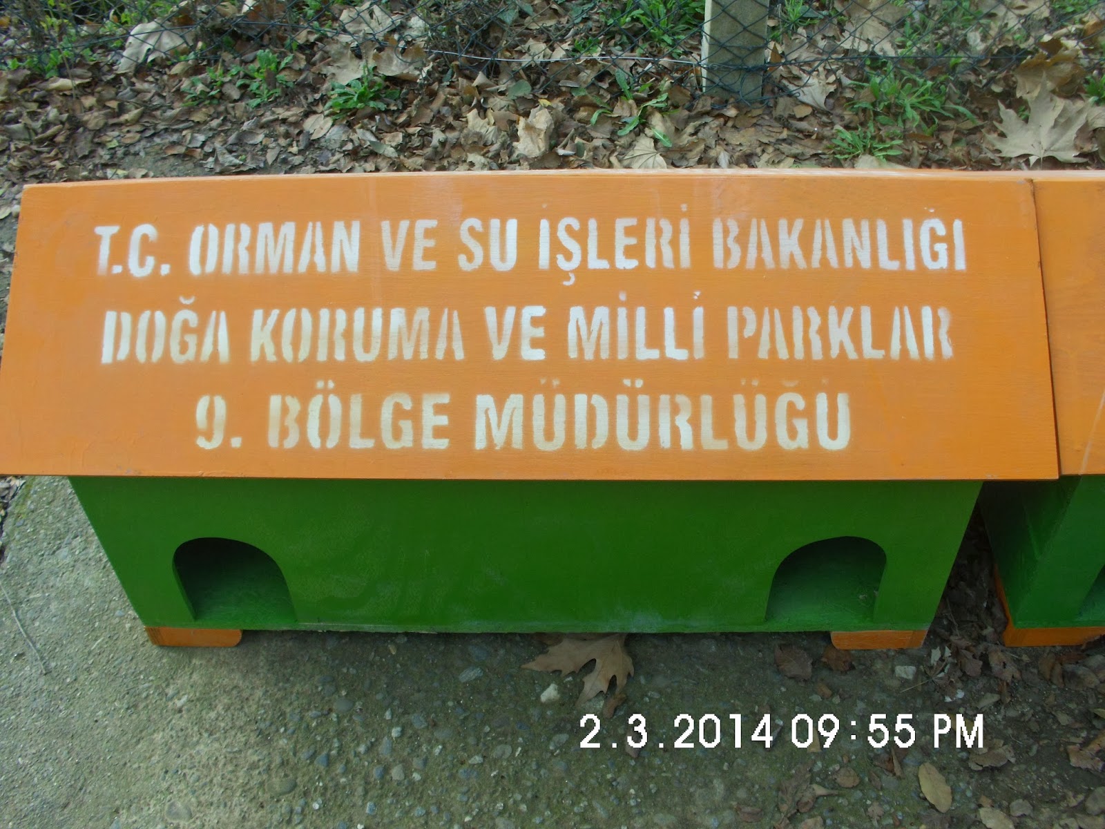 DOĞAL HAYATA SAYGI ORMAN BAKANLIĞI TARAFINDAN İLLERE GÖNDERİLEN KEDİ