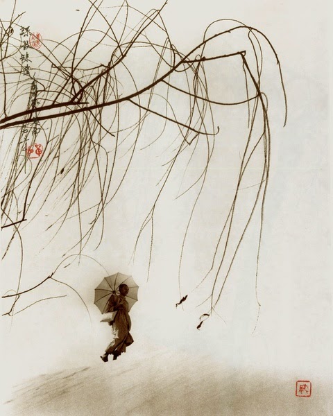 Don Hong-Oai fotografias photos