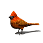 Animation Bundle: Animated Cardinals Chirping and Spreading Love of